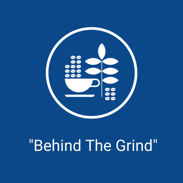 Behind The Grind #1 - The Daily Grind (519)