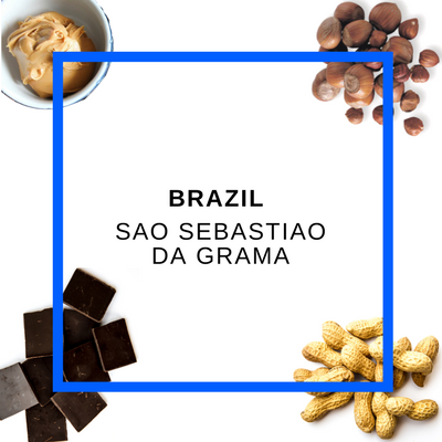 EcoCafe - (St Jacobs) - Midnight Xpress- (Dark Roast) - 12oz - Whole Bean